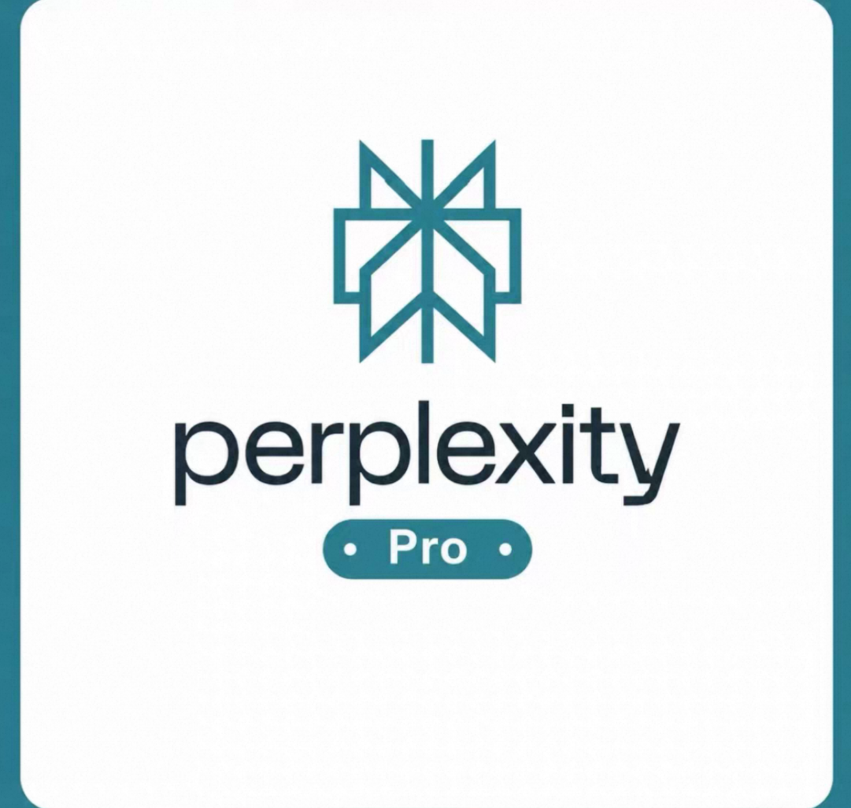 Perplexity Pro月卡iOS充值(不送积分),质保订阅,可开发票